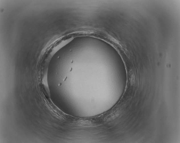 X0000083041448200702161654