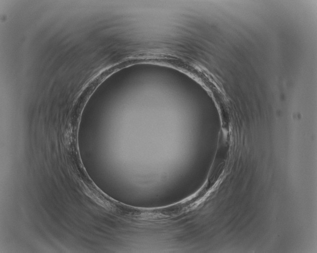 X0000083041449200702161654