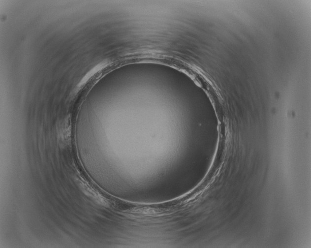 X0000083041450200702161654