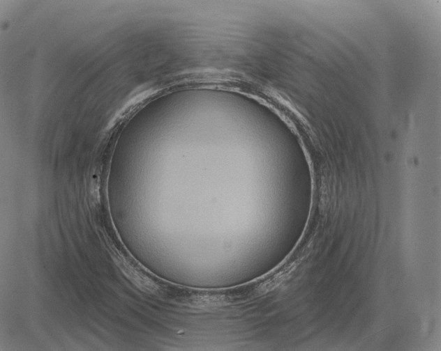 X0000083041451200702161654