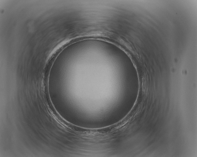 X0000083041452200702161654