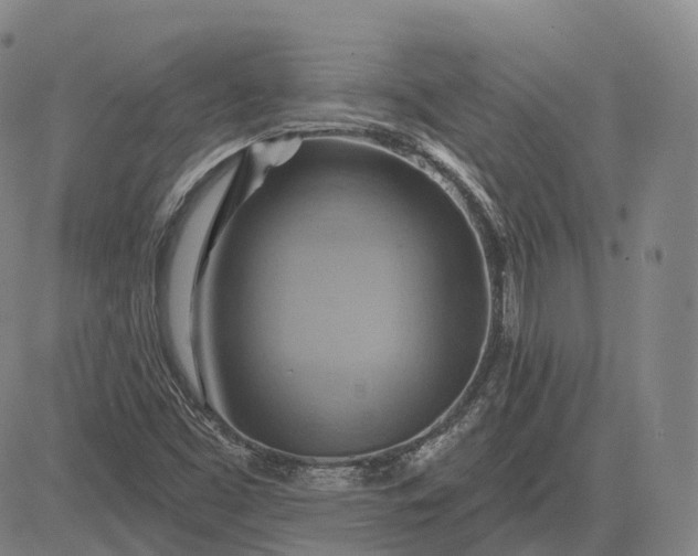 X0000083041453200702161654