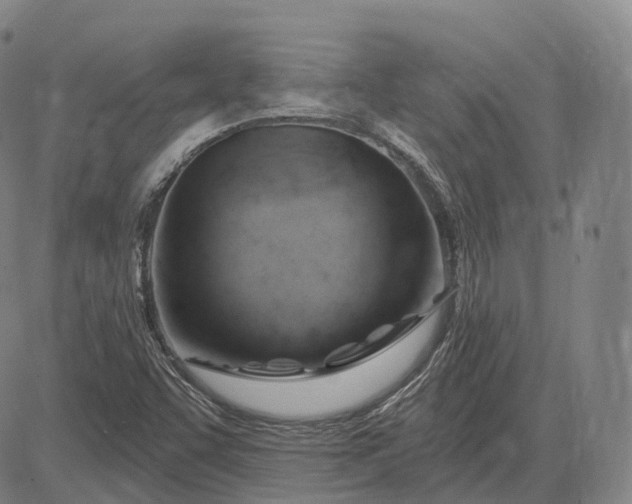 X0000083041455200702161654