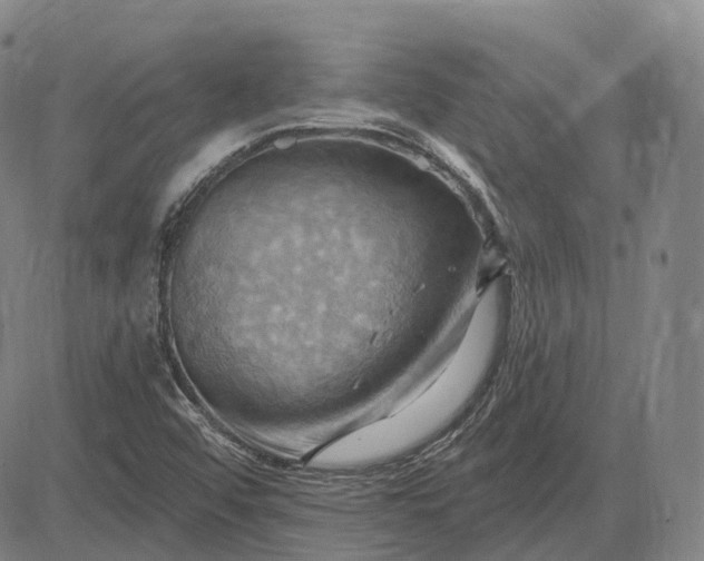 X0000083041456200702161654