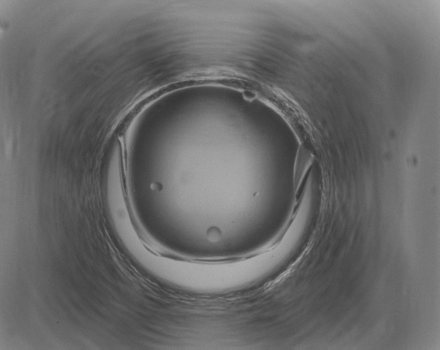 X0000083041457200702161654