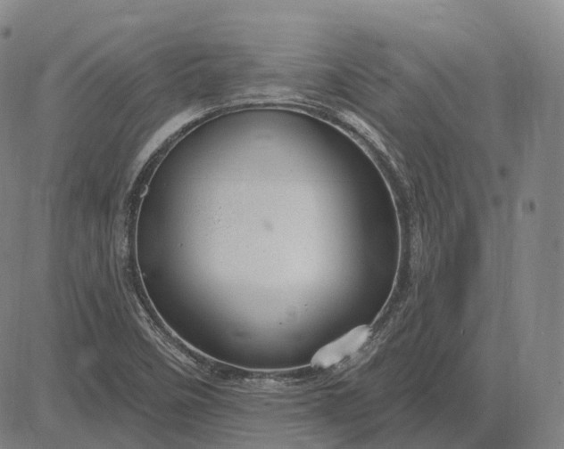 X0000083041458200702161654