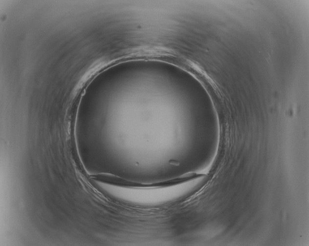 X0000083041459200702161654