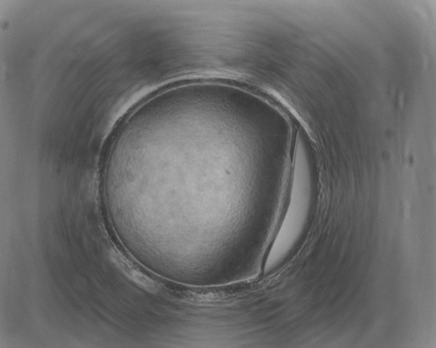 X0000083041460200702161654