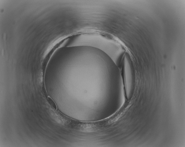 X0000083041461200702161654