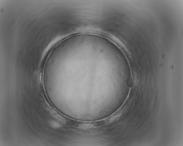 X0000083041462200702161654