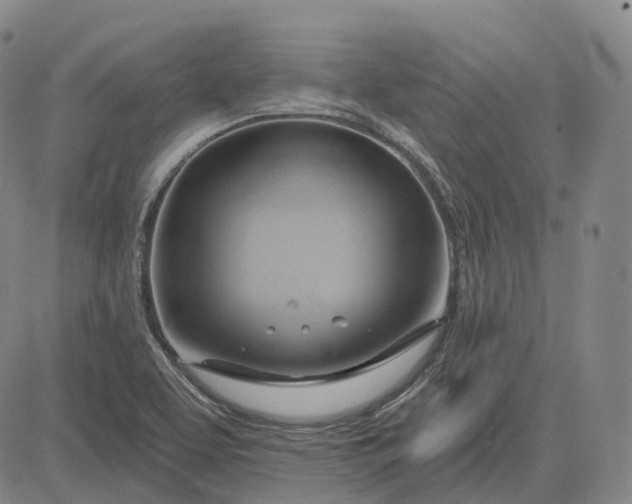 X0000083041463200702161654