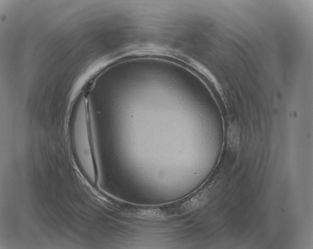 X0000083041464200702161654