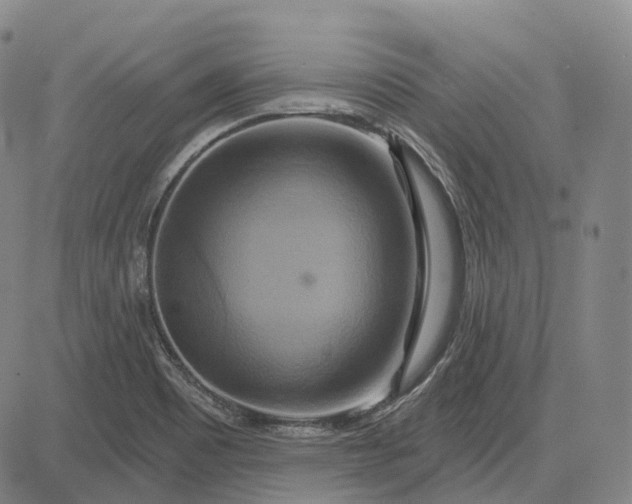 X0000083041465200702161654