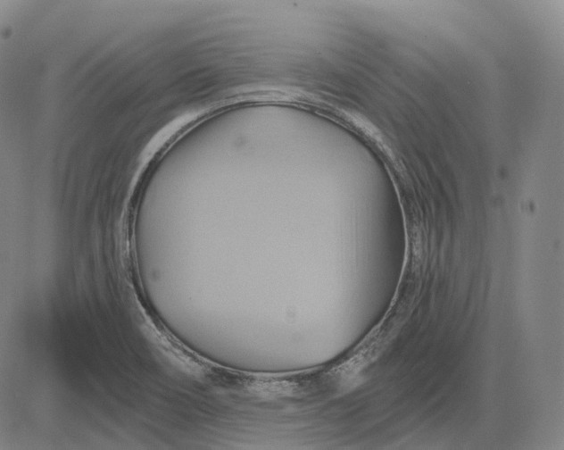 X0000083041466200702161654