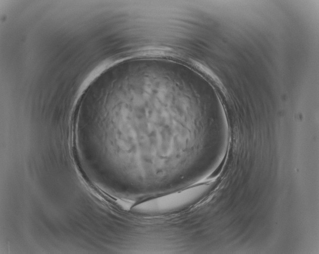 X0000083041467200702161654