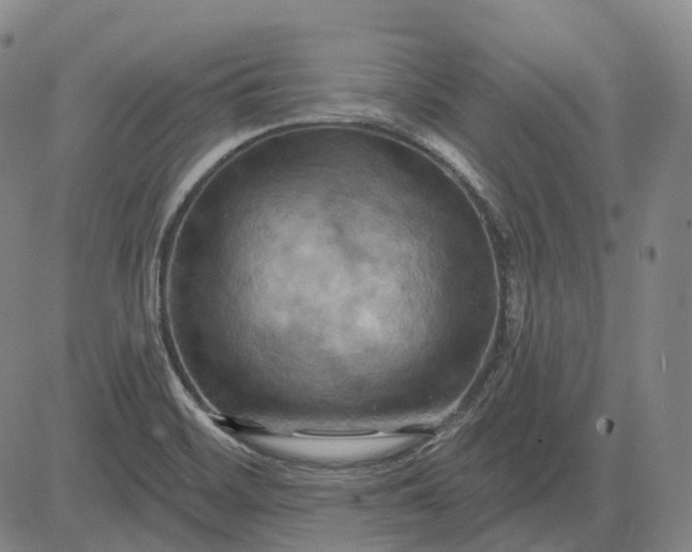 X0000083041468200702161654