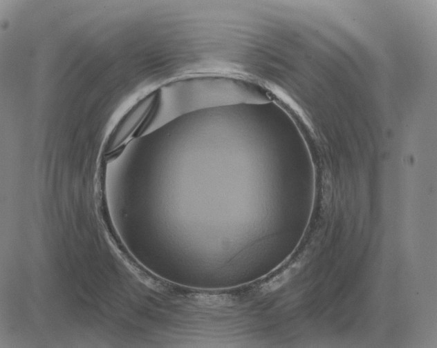 X0000083041469200702161654