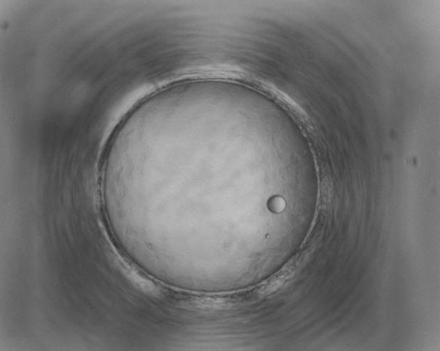 X0000083041470200702161654