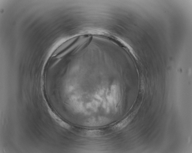 X0000083041471200702161654