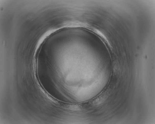 X0000083041472200702161654