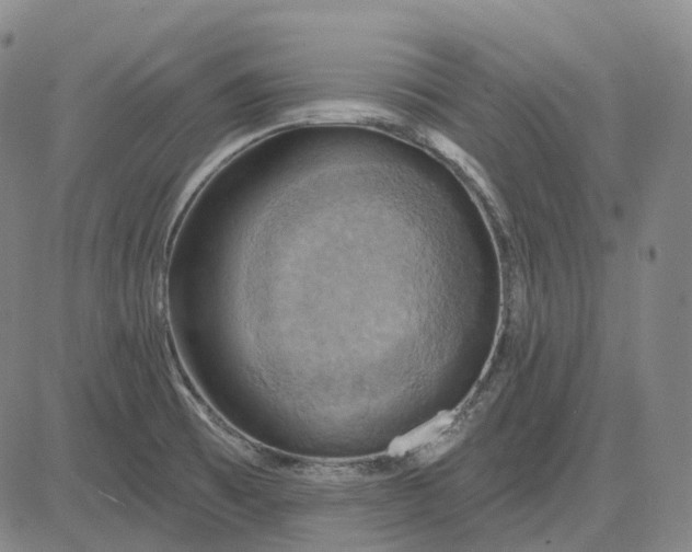 X0000083041473200702161654