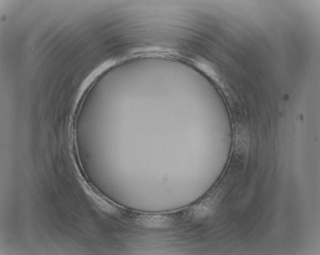 X0000083041474200702161654