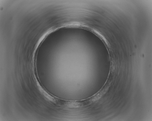 X0000083041475200702161654