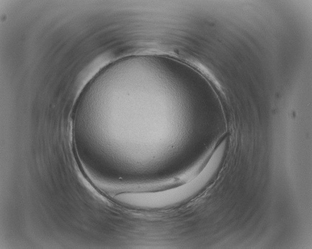 X0000083041476200702161654