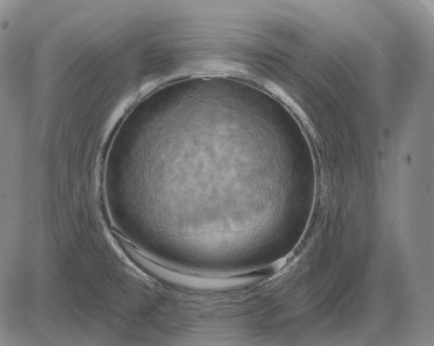 X0000083041477200702161654