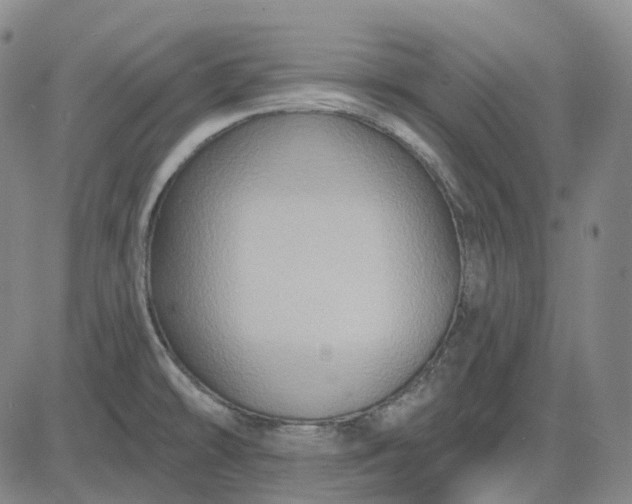 X0000083041478200702161654