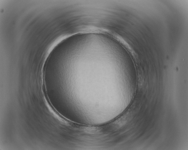 X0000083041479200702161654