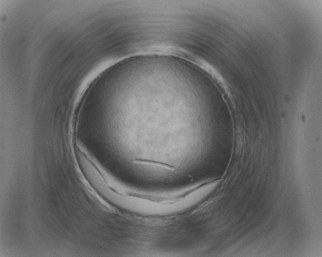 X0000083041480200702161654