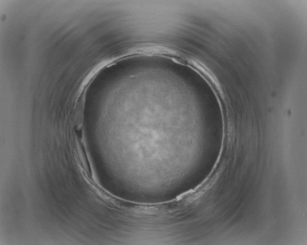 X0000083041481200702161654