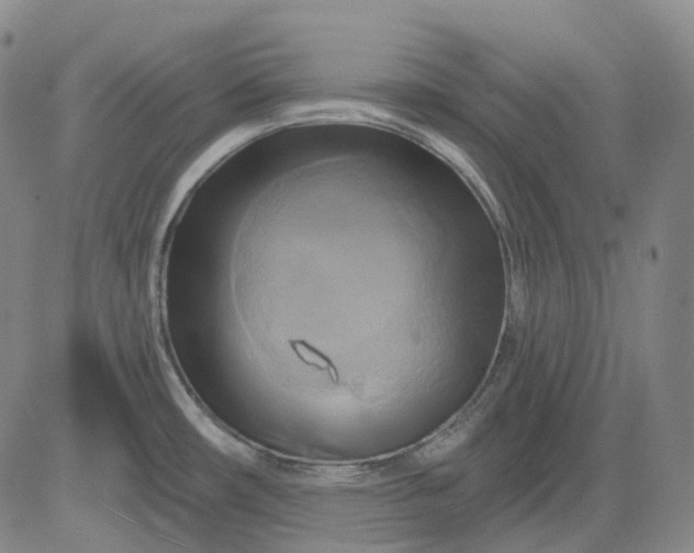 X0000083041482200702161654