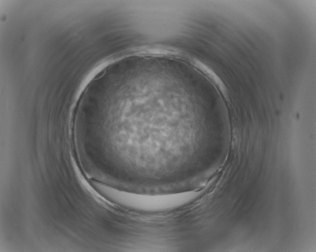 X0000083041483200702161654