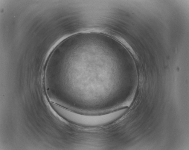 X0000083041484200702161654