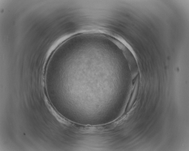 X0000083041485200702161654