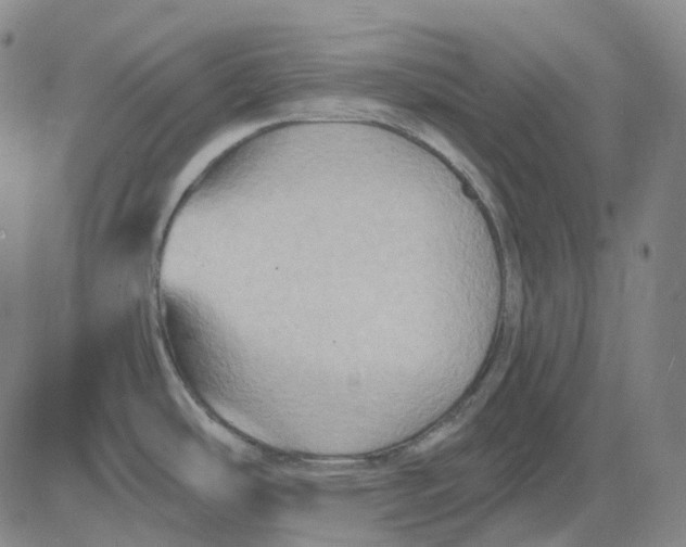 X0000083041486200702161654