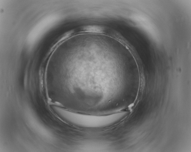 X0000083041487200702161654