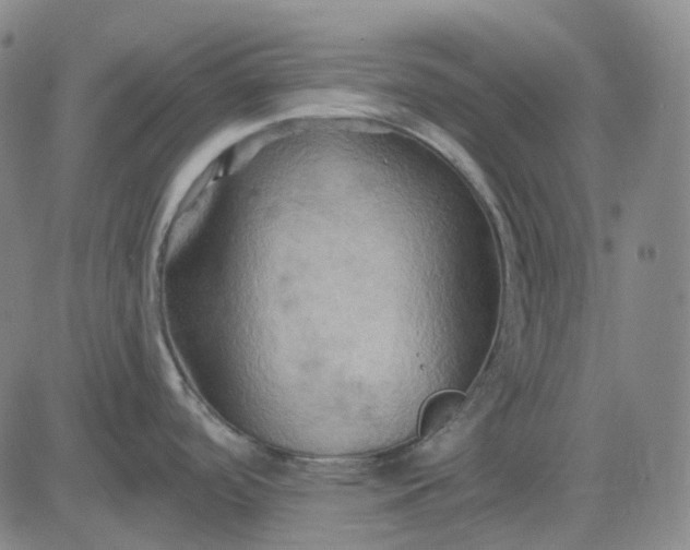 X0000083041488200702161654