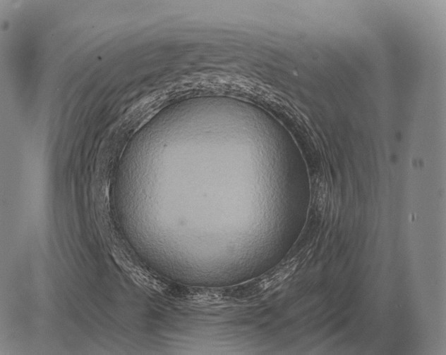 X0000083041489200702161653