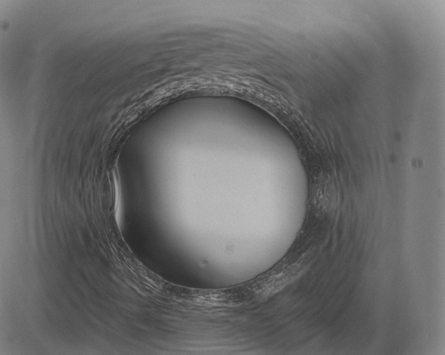 X0000083041490200702161653