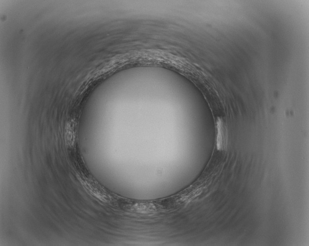 X0000083041491200702161653