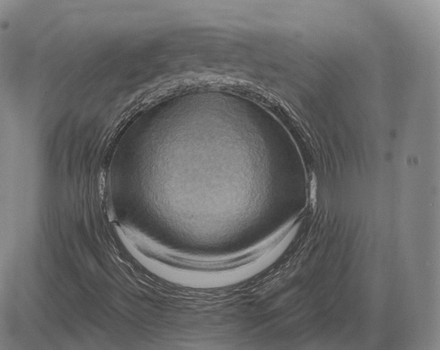 X0000083041492200702161653