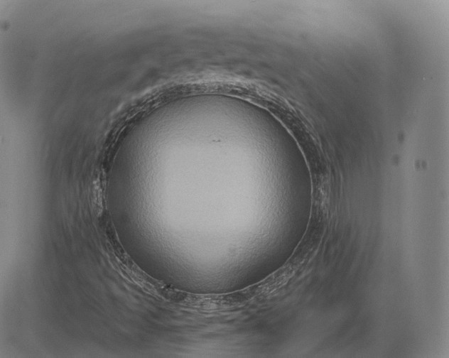 X0000083041493200702161653