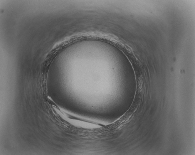 X0000083041494200702161653