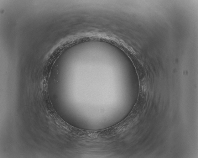 X0000083041495200702161653