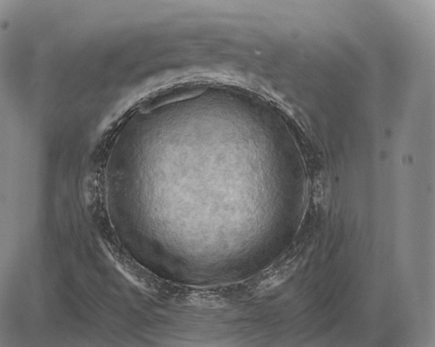 X0000083041496200702161653