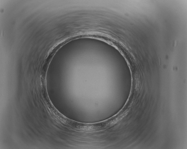 X0000083041497200702161653