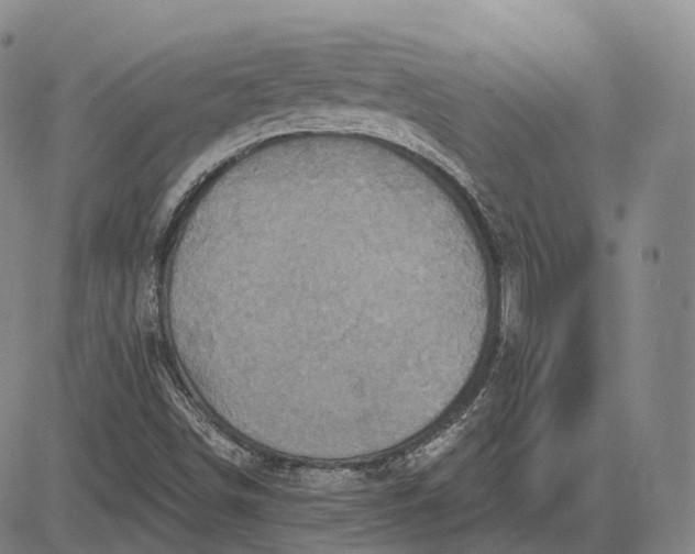 X0000083041498200702161653